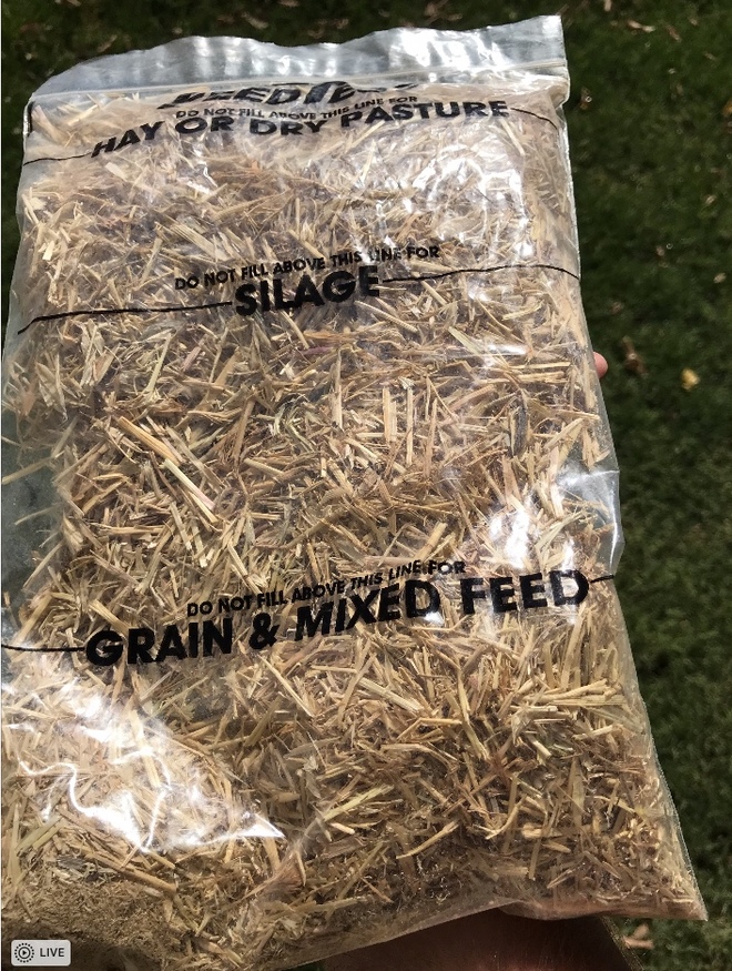 120 x Bales of Rye Grass Hay For Sale Hay & Fodder Rye